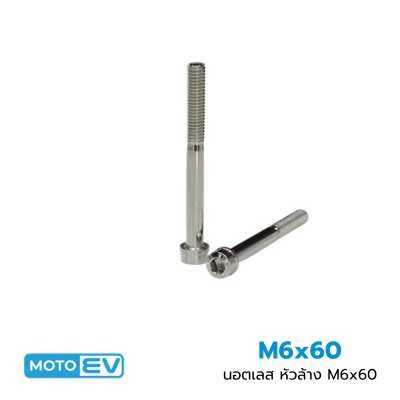 นอตเลส หัวล้าง M6x60 (12)